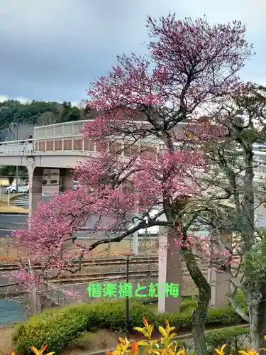 常磐神社(茨城県)