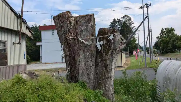 山部神社の自然