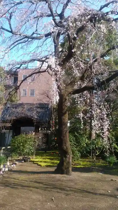 金藏院のその他建物