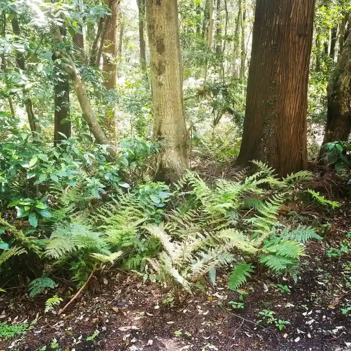 鹿島神宮の自然