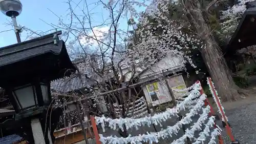 平野神社(京都府)