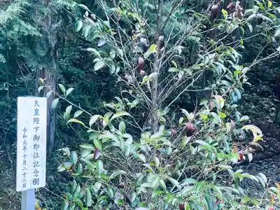 三之倉神社(岐阜県)