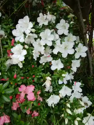 有珠善光寺(北海道)