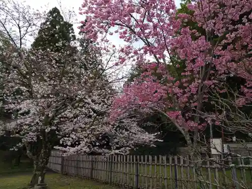 大覚寺(京都府)