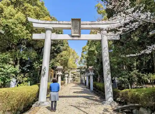 島田神社の鳥居