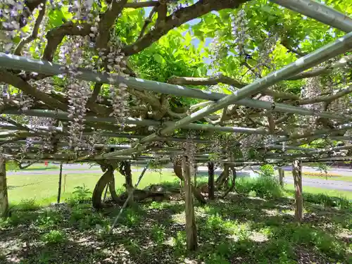 北海道護國神社の庭園