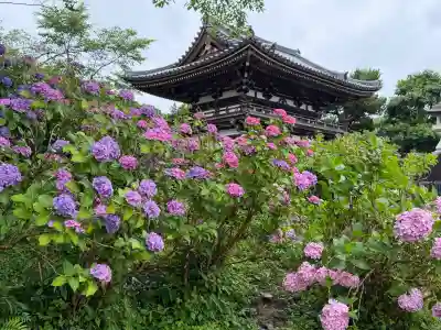 観音寺(京都府)
