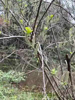 尾張冨士大宮浅間神社(愛知県)