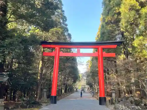 霧島神宮(鹿児島県)