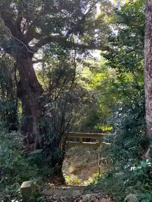 大山大神(千葉県)