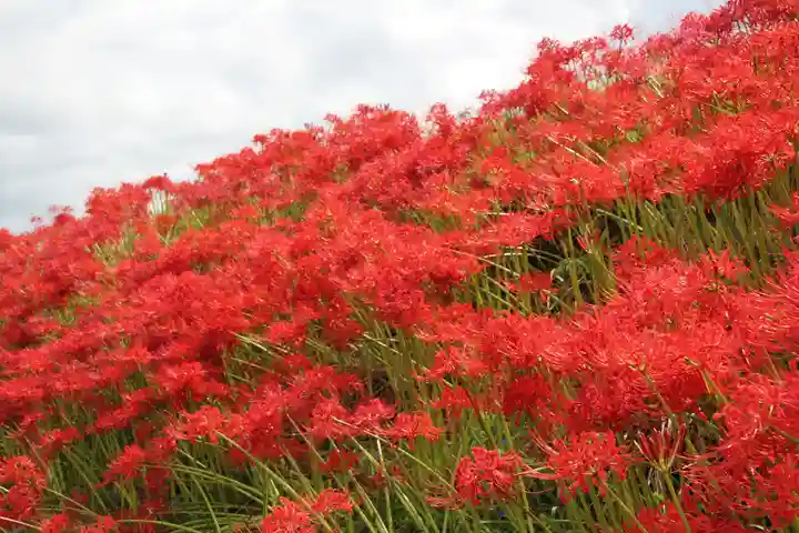 葛城一言主神社の自然