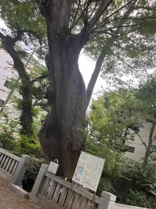 青渭神社(東京都)