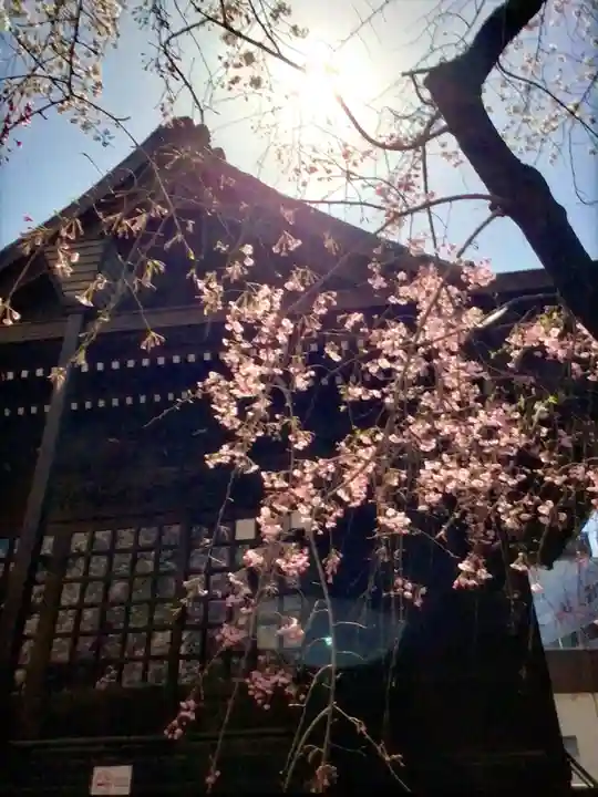 熊野神社(東京都)