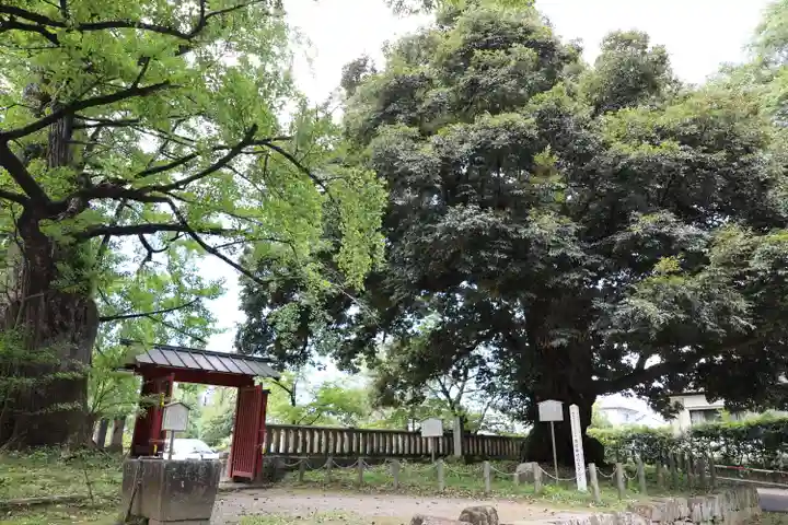 一之宮貫前神社(群馬県)