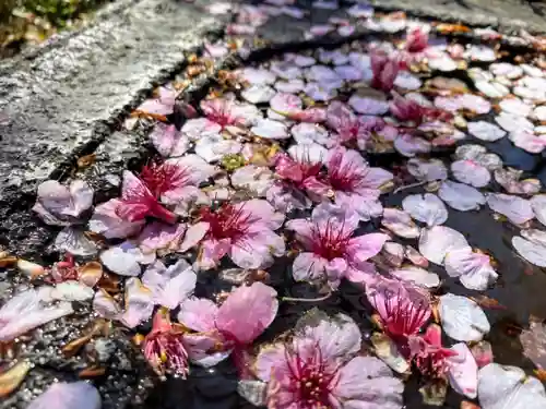 密藏院(埼玉県)