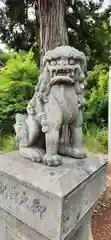 八幡神社の狛犬