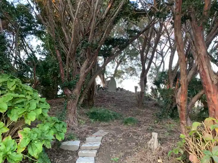 富士大神の周辺