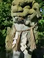 中川熊野神社の狛犬