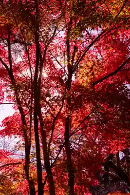 宇治上神社(京都府)