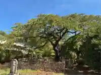 九品寺(奈良県)