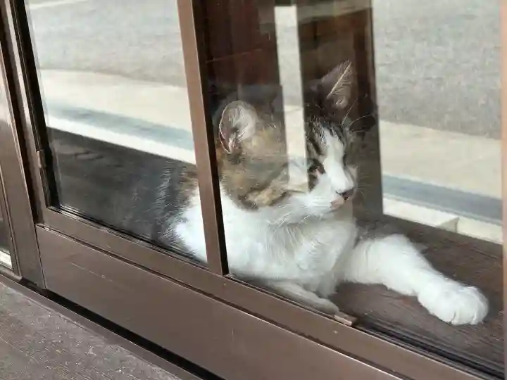 山梨縣護國神社の動物