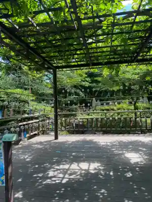 東郷神社(東京都)