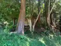 虚空蔵菩薩(千葉県)