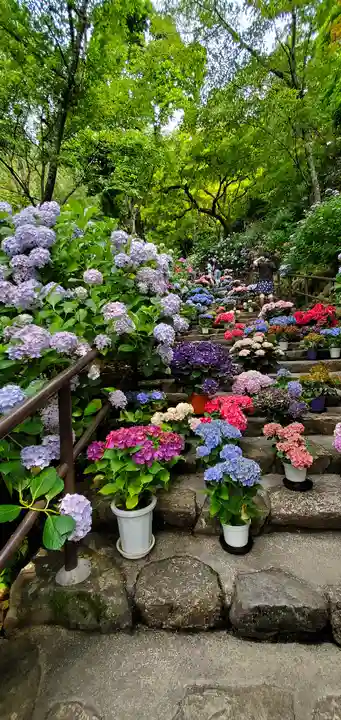 長谷寺(奈良県)