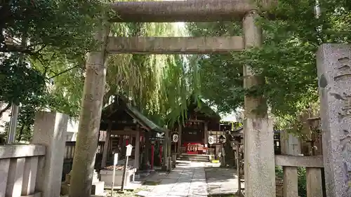 三島神社の鳥居