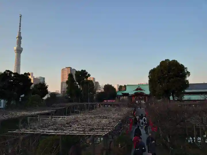 亀戸天神社の庭園