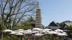 乙訓寺の庭園