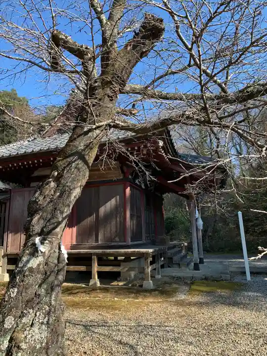露垂根神社(栃木県)