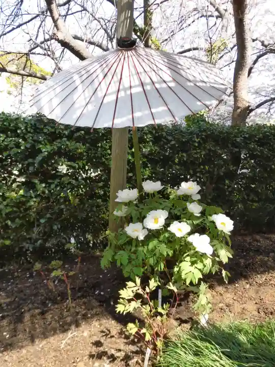 鶴岡八幡宮の{uncategorized: "未分類", other: "その他", undefined: "問題あり", building: "その他建物", grave: "お墓", sacred_gate: "鳥居", guardian: "狛犬", statue: "像", buddha: "仏像", history: "歴史", nature: "自然", garden: "庭園", animal: "動物", pagoda: "塔", temizu: "手水舎", mountain_gate: "山門・神門", sanctuary: "本殿・本堂", subordinate: "末社・摂社", art: "芸術", scenery: "景色", jizo: "地蔵", ema: "絵馬", goshuin: "御朱印", omikuji: "おみくじ", items: "授与品その他", amulet: "お守り", goshuincho: "御朱印帳", eats: "食事", festival: "お祭り", votive_dance: "神楽", shichigosan: "七五三参", wedding: "結婚式", experience: "体験その他", initially: "初詣", around: "周辺", anti_infection: "感染症対策"}