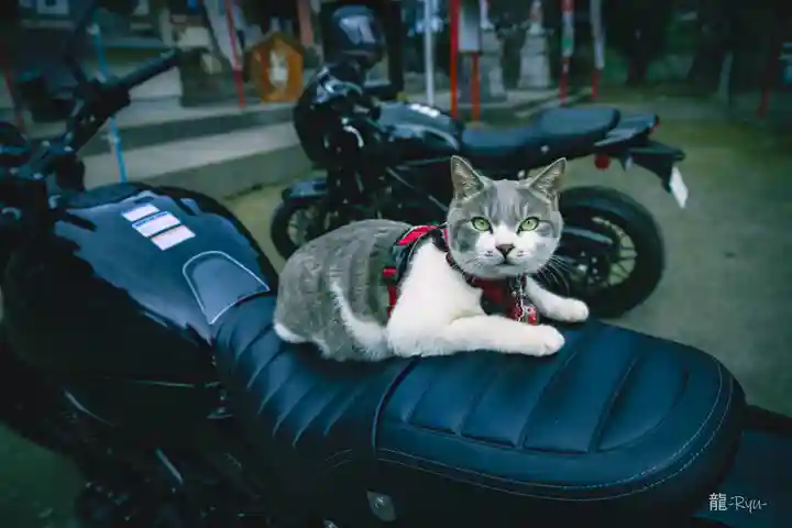 正一位 若草稲荷神社(宮城県)