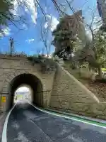 大杉弘法堂(弘法スギ)(滋賀県)