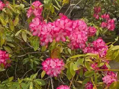 室生寺(奈良県)