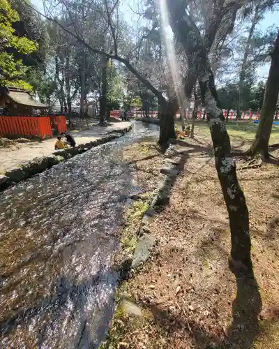 賀茂別雷神社（上賀茂神社）(京都府)