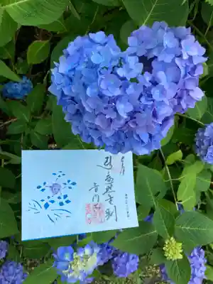 ハート♥️風の紫陽花と。
