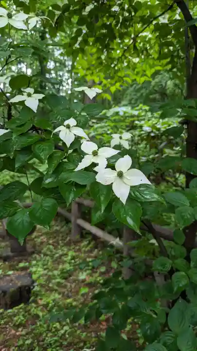 音更神社の自然