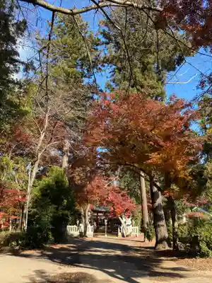鹿嶋神社のその他建物