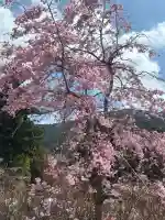 呑山観音寺の{uncategorized: "未分類", other: "その他", undefined: "問題あり", building: "その他建物", grave: "お墓", sacred_gate: "鳥居", guardian: "狛犬", statue: "像", buddha: "仏像", history: "歴史", nature: "自然", garden: "庭園", animal: "動物", pagoda: "塔", temizu: "手水舎", mountain_gate: "山門・神門", sanctuary: "本殿・本堂", subordinate: "末社・摂社", art: "芸術", scenery: "景色", jizo: "地蔵", ema: "絵馬", goshuin: "御朱印", omikuji: "おみくじ", items: "授与品その他", amulet: "お守り", goshuincho: "御朱印帳", eats: "食事", festival: "お祭り", votive_dance: "神楽", shichigosan: "七五三参", wedding: "結婚式", experience: "体験その他", initially: "初詣", around: "周辺", anti_infection: "感染症対策"}