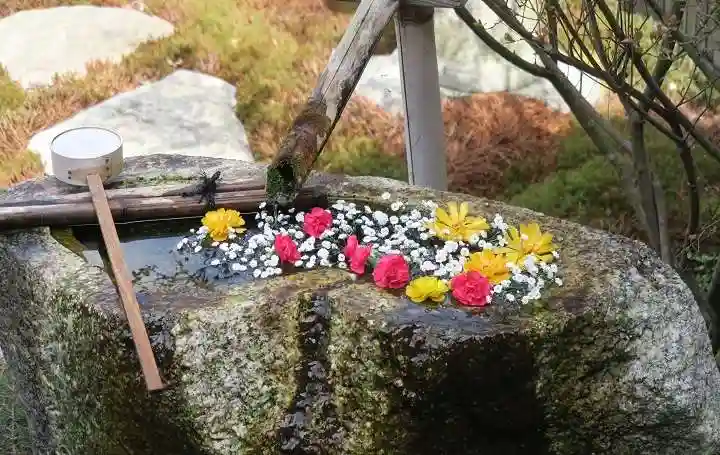 正寿院(京都府)