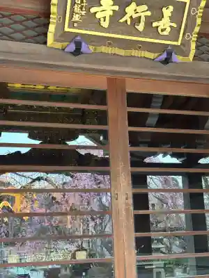 善行寺の{uncategorized: "未分類", other: "その他", undefined: "問題あり", building: "その他建物", grave: "お墓", sacred_gate: "鳥居", guardian: "狛犬", statue: "像", buddha: "仏像", history: "歴史", nature: "自然", garden: "庭園", animal: "動物", pagoda: "塔", temizu: "手水舎", mountain_gate: "山門・神門", sanctuary: "本殿・本堂", subordinate: "末社・摂社", art: "芸術", scenery: "景色", jizo: "地蔵", ema: "絵馬", goshuin: "御朱印", omikuji: "おみくじ", items: "授与品その他", amulet: "お守り", goshuincho: "御朱印帳", eats: "食事", festival: "お祭り", votive_dance: "神楽", shichigosan: "七五三参", wedding: "結婚式", experience: "体験その他", initially: "初詣", around: "周辺", anti_infection: "感染症対策"}