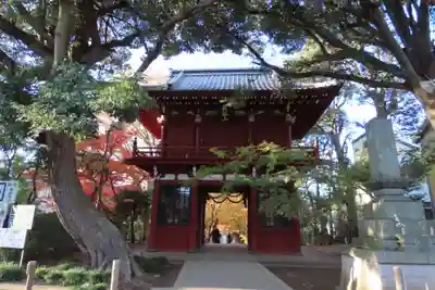 本土寺の山門・神門