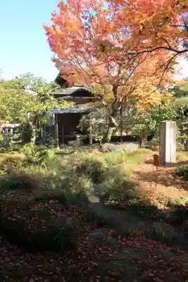 天龍寺(京都府)