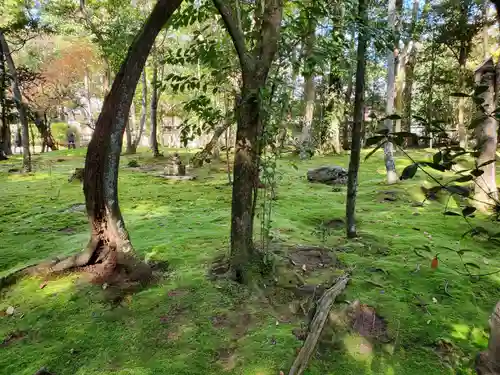 秋篠寺(奈良県)