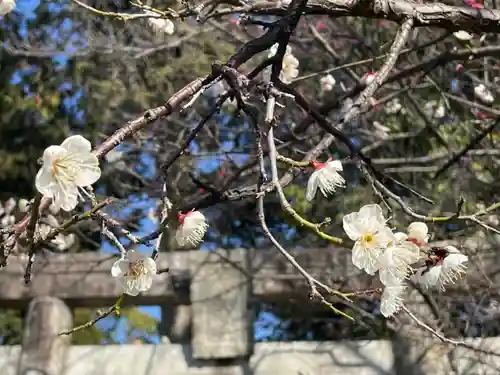 近津神社(福岡県)