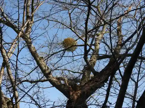 常住寺(三重県)