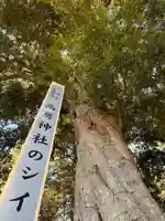 高房神社(茨城県)