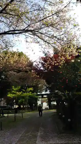 畑子安神社の自然